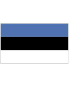 Vlag Estland 70 x 100 glans