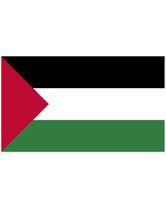 Vlag Palestina 100x150 cm.