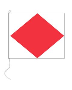 Seinvlag F 100x120 cm