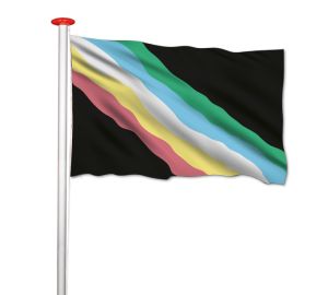 Disability pride vlag