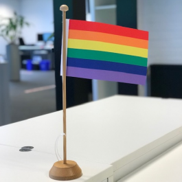 Regenboog Tafelvlag 10x15cm bestellen Faber Vlaggen