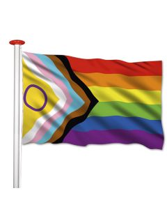progress-intersekse vlag
