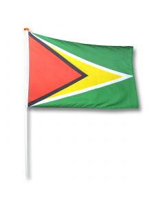 Vlag Guyana