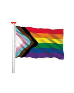 Progress Pride vlag
