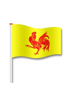 Vlag Franse Gemeenschap