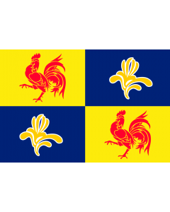 Vlag Franse Gemeenschapscommissie (Cocof) 200 x 300 cm